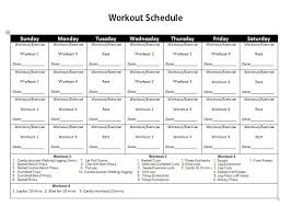gym workout plan pdf gym workout plan