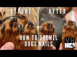 how to dremel your dog s nails slow