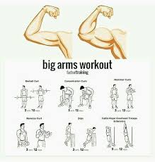 Workout Routine Gym Workouts Big Arm Workout Fitness
