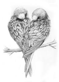 See more of t love. 25 Beautiful Bird Tattoos Designs For Women And Men Love Birds Drawing Bird Drawings Bird Sketch