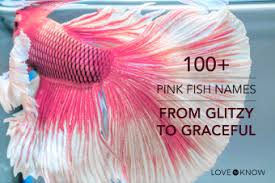 100 pink fish names from sweet to