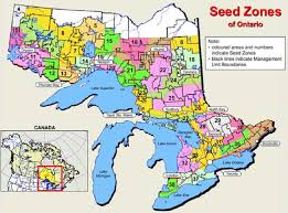 3 tree seed zones of ontario map from