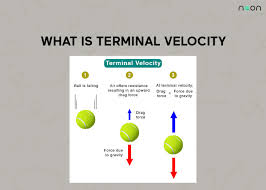 What Is Terminal Velocity Noon Academy
