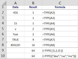 type of data in an excel cell