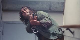Image result for inherent vice 2014
