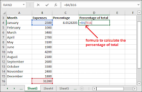 for percene of total in excel