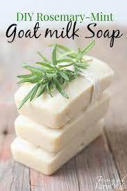 homemade rosemary mint goat milk soap