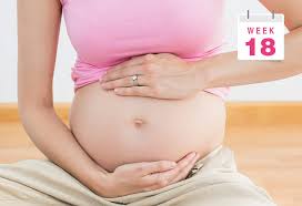 18 Weeks Pregnant Symptoms Baby Size Body Changes More
