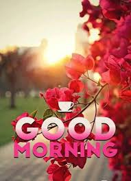 With tenor, maker of gif keyboard, add popular good morning animated gifs to your conversations. Recklessly Good Morning Flowers Hd Pictures