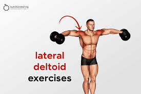 best lateral deltoid exercises for