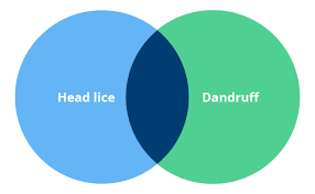 lice vs dandruff how do i tell the