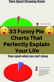 33 Funny Pie Charts That Perfectly Explain Your Life Funny