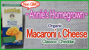 annie s homegrown organic macaroni