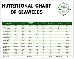 seaweed nutrition vitamin sea seaweed