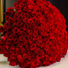 luxuriant 300 roses bouquet flower