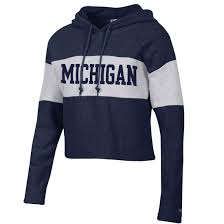 Champion University Of Michigan Womens Navy Gray Reverse Weave Crop Hooded Sweatshirt