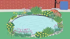 How To Make A Mini Wildlife Pond From