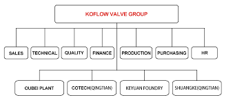 Organization Chart Koflow Valve Group