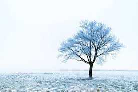spiritual meaning of snow the