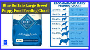 Blue Buffalo Large Breed Puppy Food Feeding Chart Best Pet