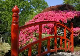 Red Bridge In Japanese Garden Pixers Hk