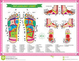Foot Reflexology Chart Stock Illustration Illustration Of