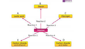 Given Below Are Chemical Reactions 1 To