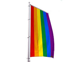 Juni 2020 mit dem global pride day auf gewalt und diskriminierung gegen lesben, schwule, bisexuelle anschließend zeigt das bild die gehisste regenbogenflagge neben der flagge der. Regenbogenflagge Pride Flagge Gunstig Kaufen Premium Qualitat