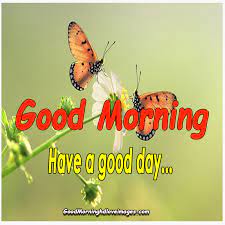 312 good morning love images in hindi photos wallpapers. 157 Fresh Good Morning Images For Whatsapp Free Download In Hindi Good Morning