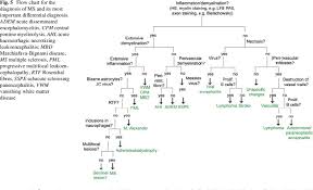 Flow Chart For The Diagnosis Of Ms And Its Most Important