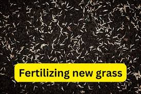 a complete guide to fertilizing new gr