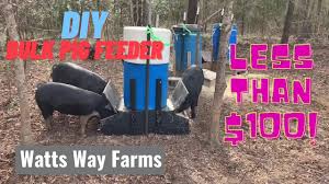 diy bulk pig feeder less than 100