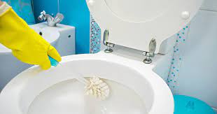 how to clean a toilet bowl