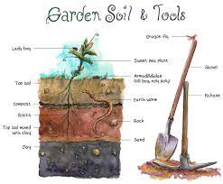 S Soil For Planting