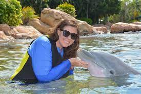 the ultimate guide to discovery cove in