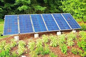 best solar powered grow lights 2021