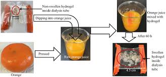 sustainable cellulose based hydrogel