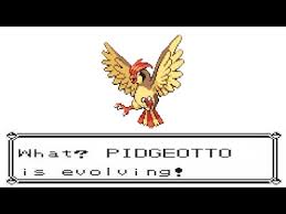 Pokemon Yellow Pidgeotto Evolve Into Pidgeot Danumuh