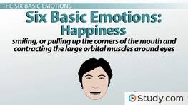 the six basic emotions types