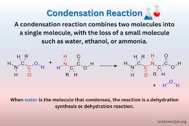 Condensation Reaction Definition And