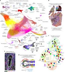 Nature Cell Biology