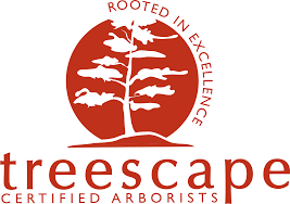 You do not necessarily have to have a bachelor's degree to become an arborist, however, it may, of. Management Team Treescape Certified Arborists