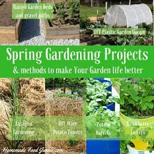 Spring Gardening Projects Homemade