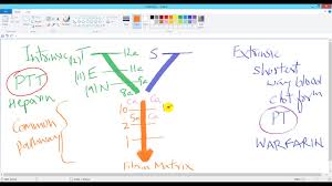 Coagulation Process Easiest Y Diagram And Mnemonic For