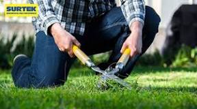 ¿Cuáles son las herramientas de un jardinero?
