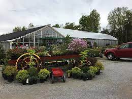 5 Great Garden Centers In Cincinnati