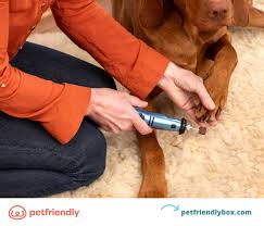 how to trim your dog s nails safely at