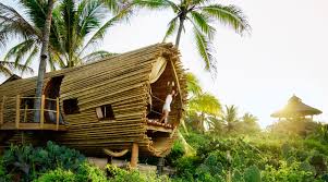 Amazing Treehouse Designs