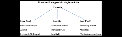Flowchart For Hypoxia In The Single Ventricle O2 Oxygen