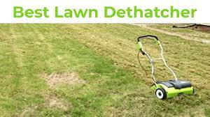 Before dethatching, check your grass height. 9 Best Lawn Dethatcher In 2021 Reviews Buying Guide